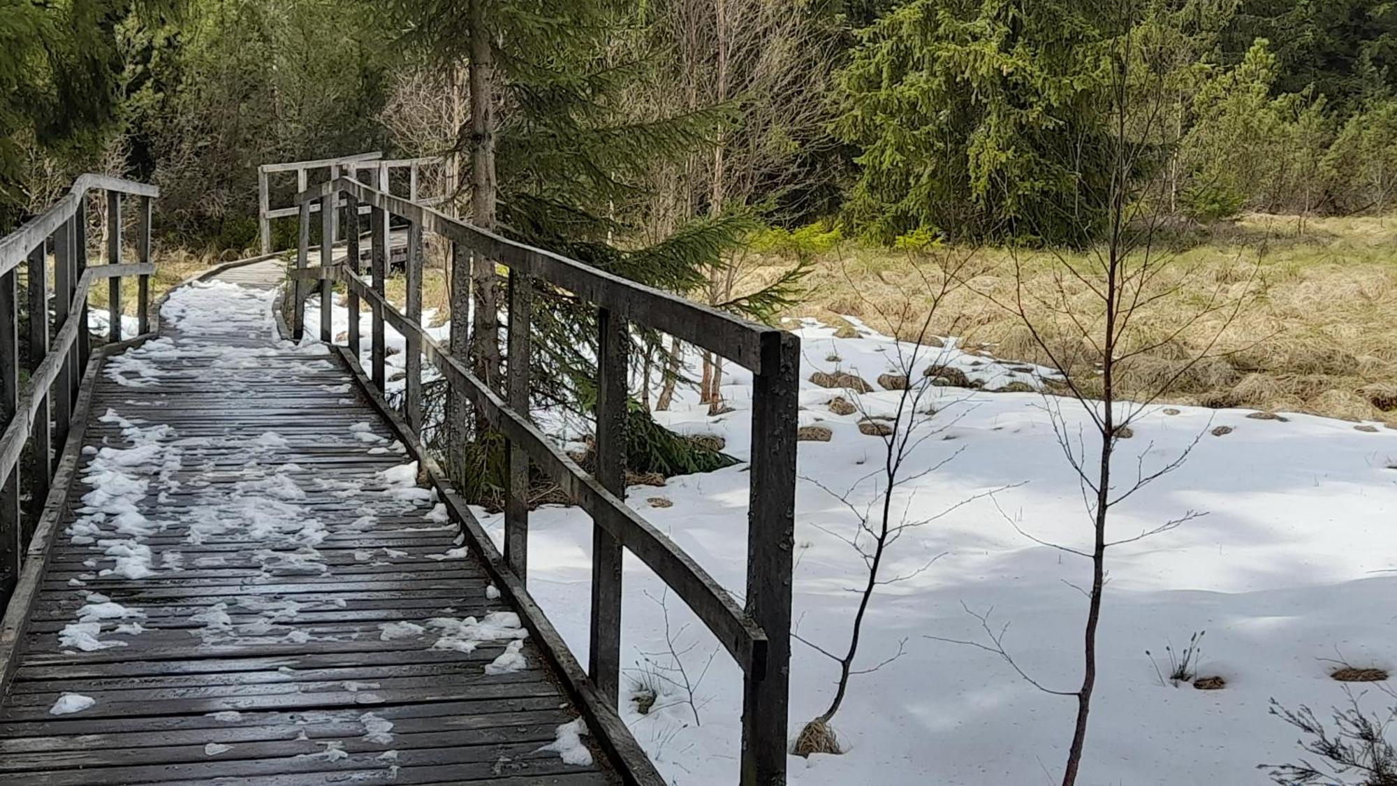 Green Apartment Loučná pod Klínovcem Dış mekan fotoğraf